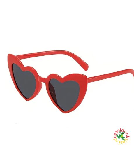 oeteldonk-bril-hart-rood-carnaval