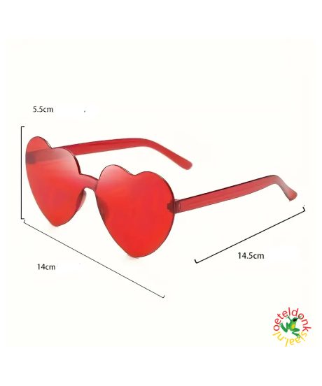 oeteldonk-bril-hartjes-rood-carnaval