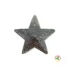 oeteldonk-glitter-embleem-zilver-ster