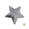 oeteldonk-glitter-embleem-ster-zilver-embleem-oeteldonk