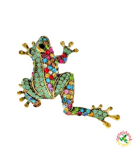 oeteldonk-kikker-broche-gekleurd