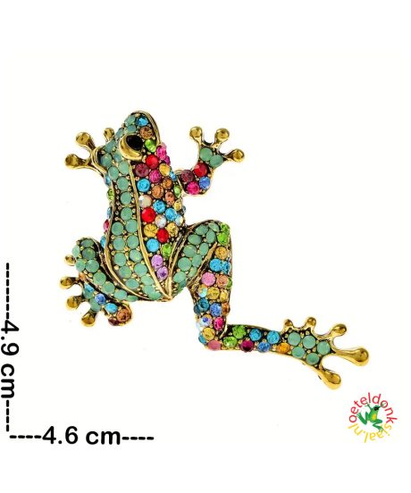 oeteldonk-kikker-broche-gekleurd-carnaval