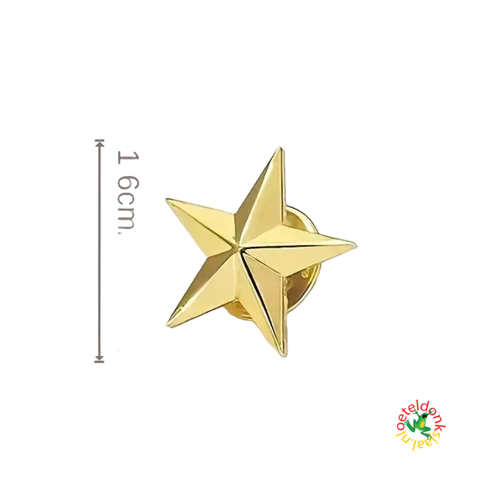 oeteldonk-pin-ster-geel-goud
