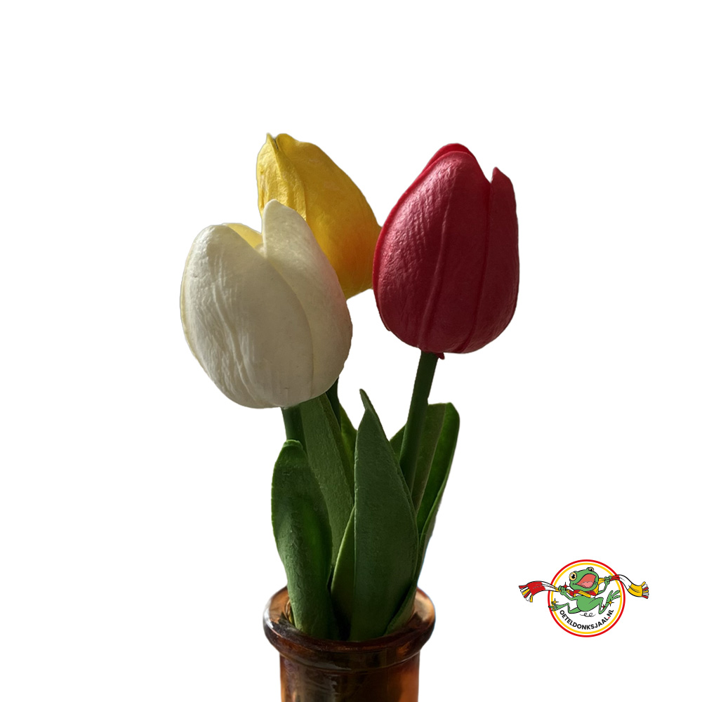 oeteldonk-tulp-rood-wit-geel