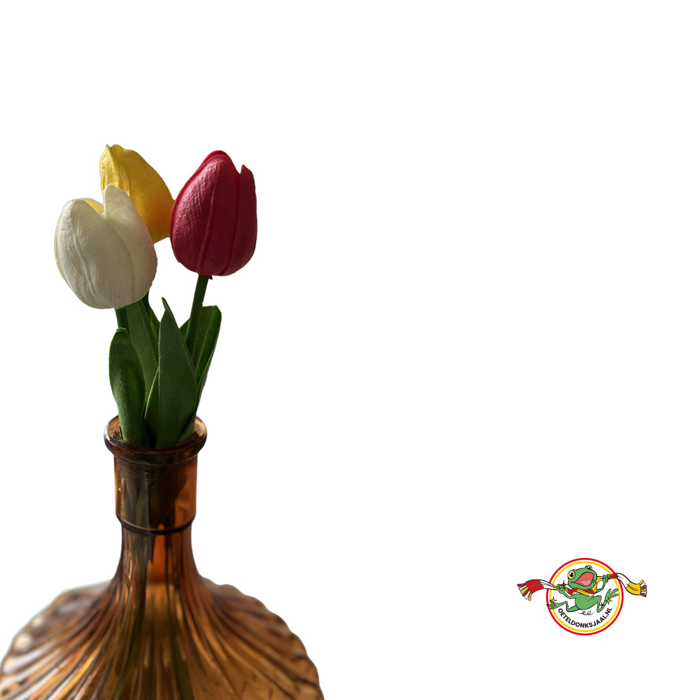 oeteldonk-tulpen